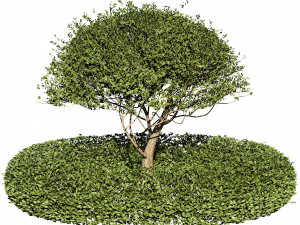 Landscaping and Hardscaping 3D Модель