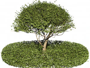 Landscaping and Hardscaping 3D Model