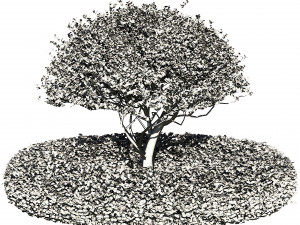 Landscaping and Hardscaping 3D Модель