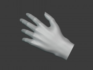 Female Hand Sculpt HighPoly Mesh 3Dモデル