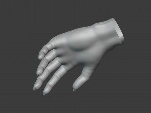 Female Hand Sculpt HighPoly Mesh Modelo 3D