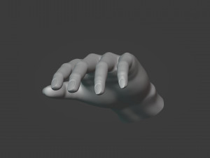 Female Hand Sculpt HighPoly Mesh Modelo 3D
