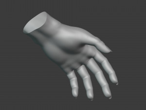 Female Hand Sculpt HighPoly Mesh Modelo 3D