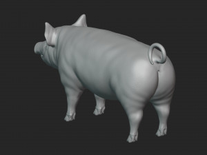 3D Pig 3D 모델