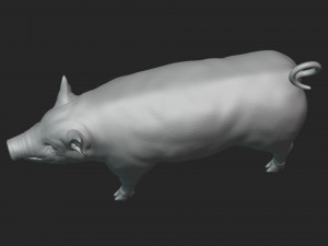 3D Pig 3D 모델