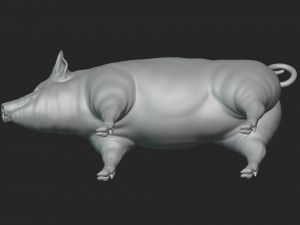 3D Pig 3D 모델