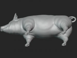 3D Pig 3D Model