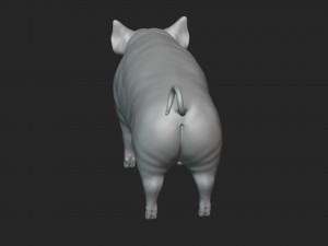 3D Pig 3D 모델