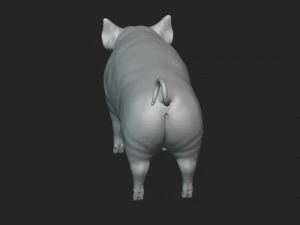3D Pig 3D Model