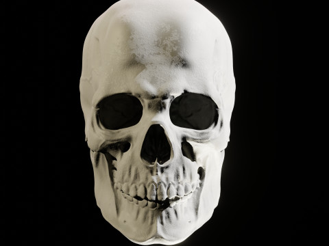 Human Skull 3D Sculpt 3D Model