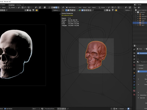 Human Skull 3D Sculpt 3D Model