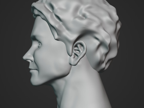 Male Head 3D Sculpt Modelo 3D