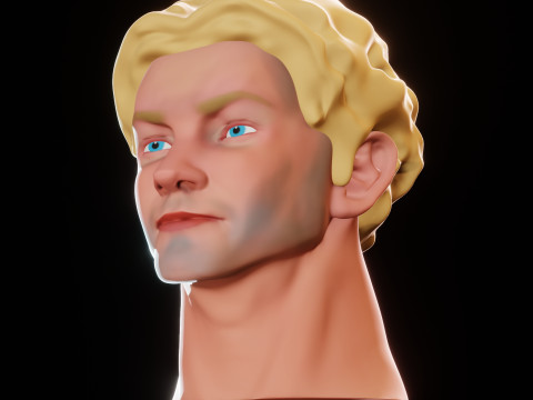 Male Head 3D Sculpt Modelo 3D