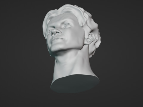 Male Head 3D Sculpt Modelo 3D