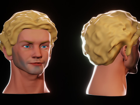 Male Head 3D Sculpt Modelo 3D