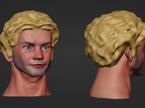 Male Head 3D Sculpt Modelo 3D