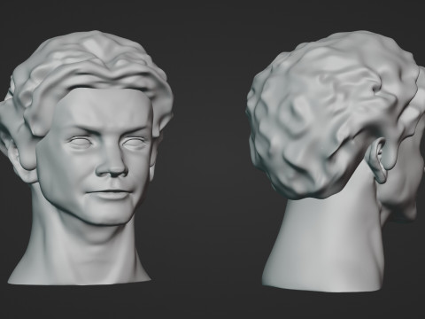 Male Head 3D Sculpt Modelo 3D