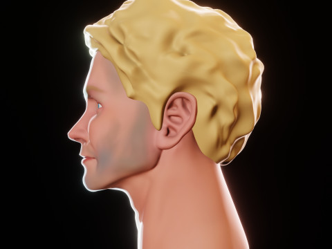 Male Head 3D Sculpt Modelo 3D