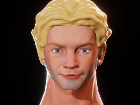 Male Head 3D Sculpt Modelo 3D