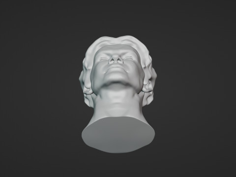 Male Head 3D Sculpt Modelo 3D