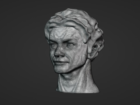 Male Head 3D Sculpt Modelo 3D
