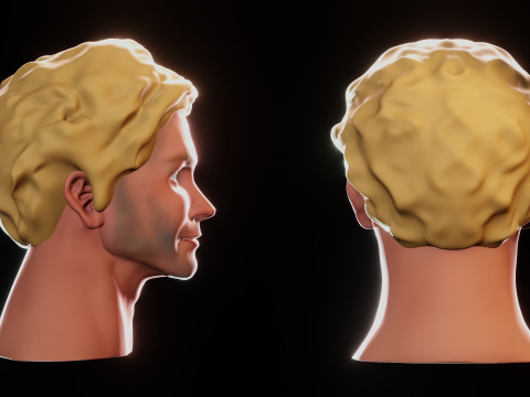 Male Head 3D Sculpt Modelo 3D