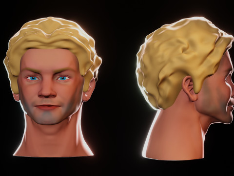 Male Head 3D Sculpt Modelo 3D
