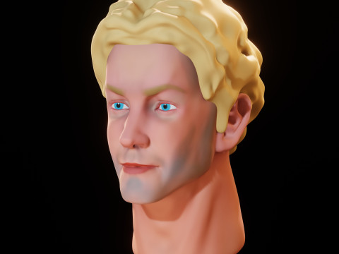 Male Head 3D Sculpt Modelo 3D