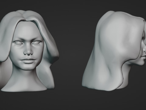 Female Head 3D Sculpt 3D Model
