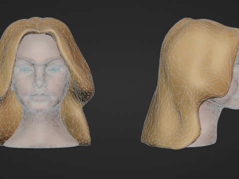 Female Head 3D Sculpt 3D Model