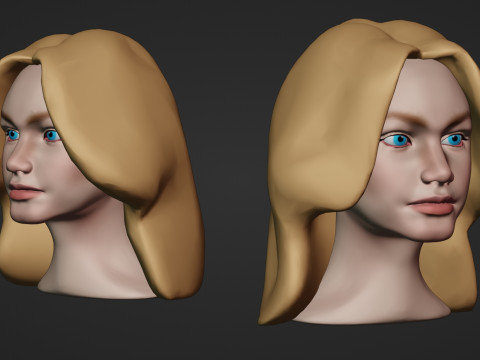 Female Head 3D Sculpt 3D Model