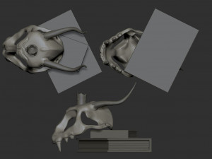 Fantasy scull 3D Model