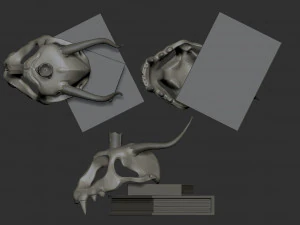Fantasy scull 3D Model
