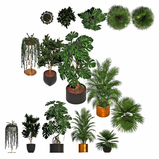 Indoor plants for office Modèle 3D .c4d .max .obj .3ds .fbx .stl .blend 