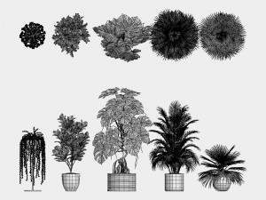Indoor plants for office Modèle 3D