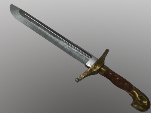 Falshion V1 Modèle 3D
