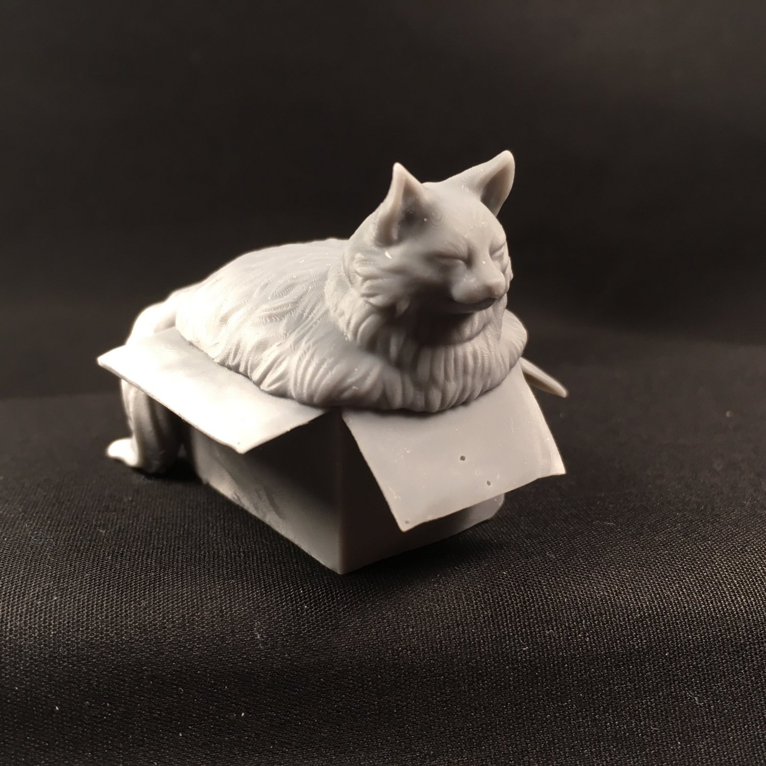 Fat cat in box discount