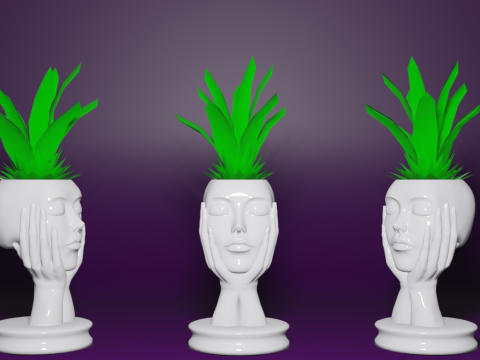 Woman Face Flower Pot Vase Planter - 3D Printable STL Design 3D Print Model