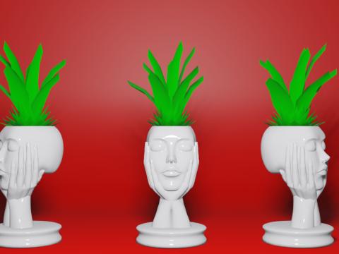 Woman Face Flower Pot Vase Planter - 3D Printable STL Design 3D Print Model