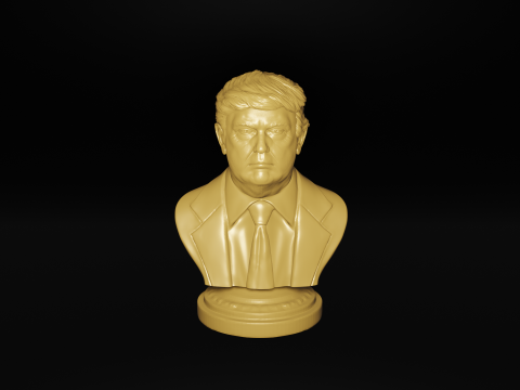 3D Printable Bust of President Donald Trump - STL Filesfor 3D Printing 3D Printing