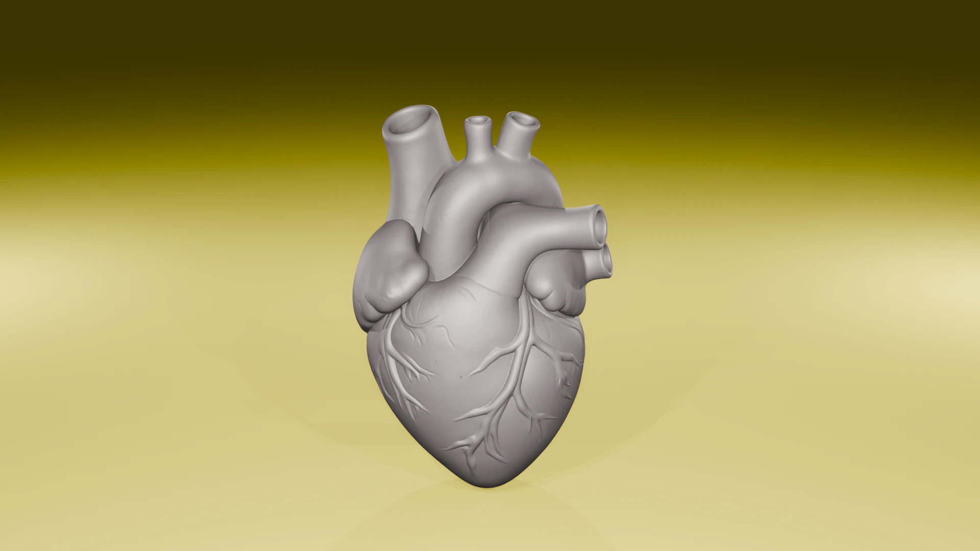 Realistic Human Heart Model Anatomical Sculpture STL File 3D Print Model .c4d .max .obj .3ds .fbx .stl .blend 