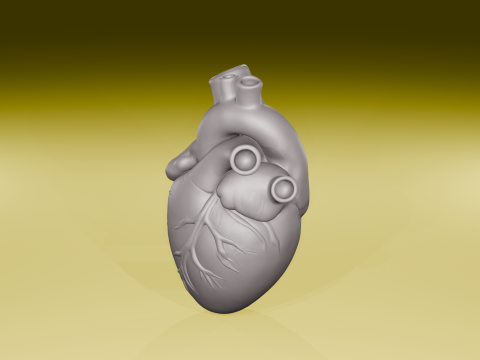 Реалистичная модель человеческого сердца, анатомическая скульптура, файл STL 3D Принт Модель