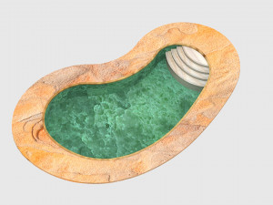 Avika Curved Pool Ver 1 3D Model