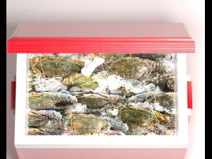 Avika Seafood Cooler Ver 1 3D Model