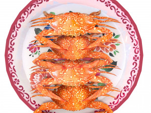 Avika Seafood Crab dish v1 3D Model
