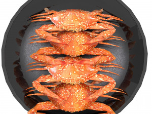 Avika Seafood Crab dish v1 3D 모델