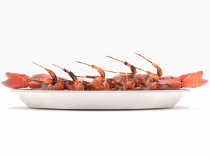 Avika Seafood Mixed Dish 3D Модель