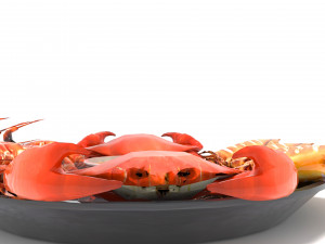 Avika Seafood Mixed Dish 3D Модель