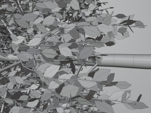 Tree birch Modelo 3D