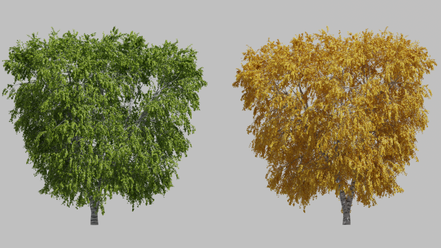 Tree birch2 Modelo 3D .c4d .max .obj .3ds .fbx .stl .blend 
